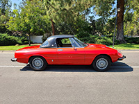 alfa