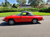 alfa