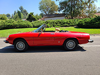 alfa