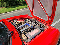 alfa