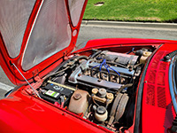 alfa