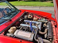 alfa