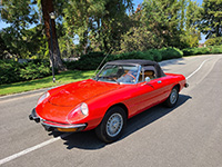 alfa