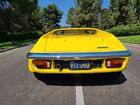lotus