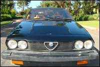 alfa