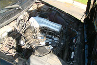 alfa