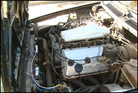 alfa