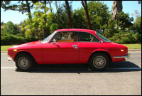 alfa