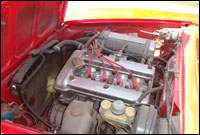 alfa