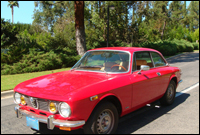 alfa