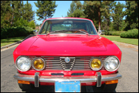 alfa