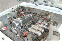 alfa