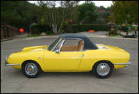 alfa