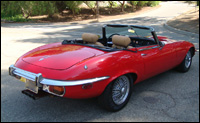 jaguar